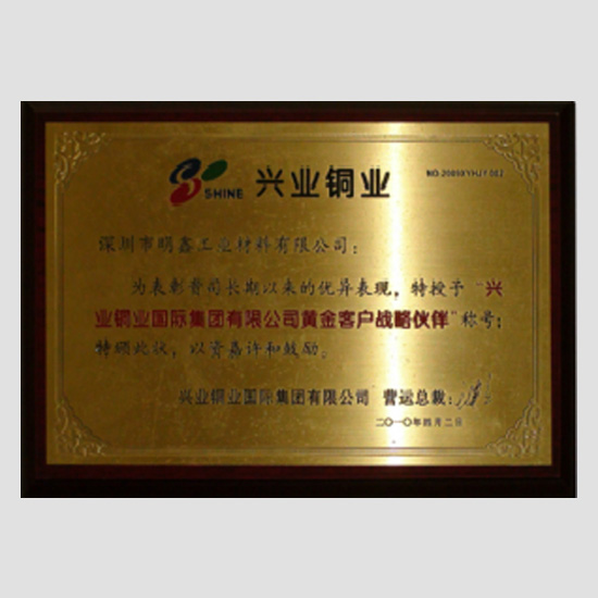 明鑫的荣誉